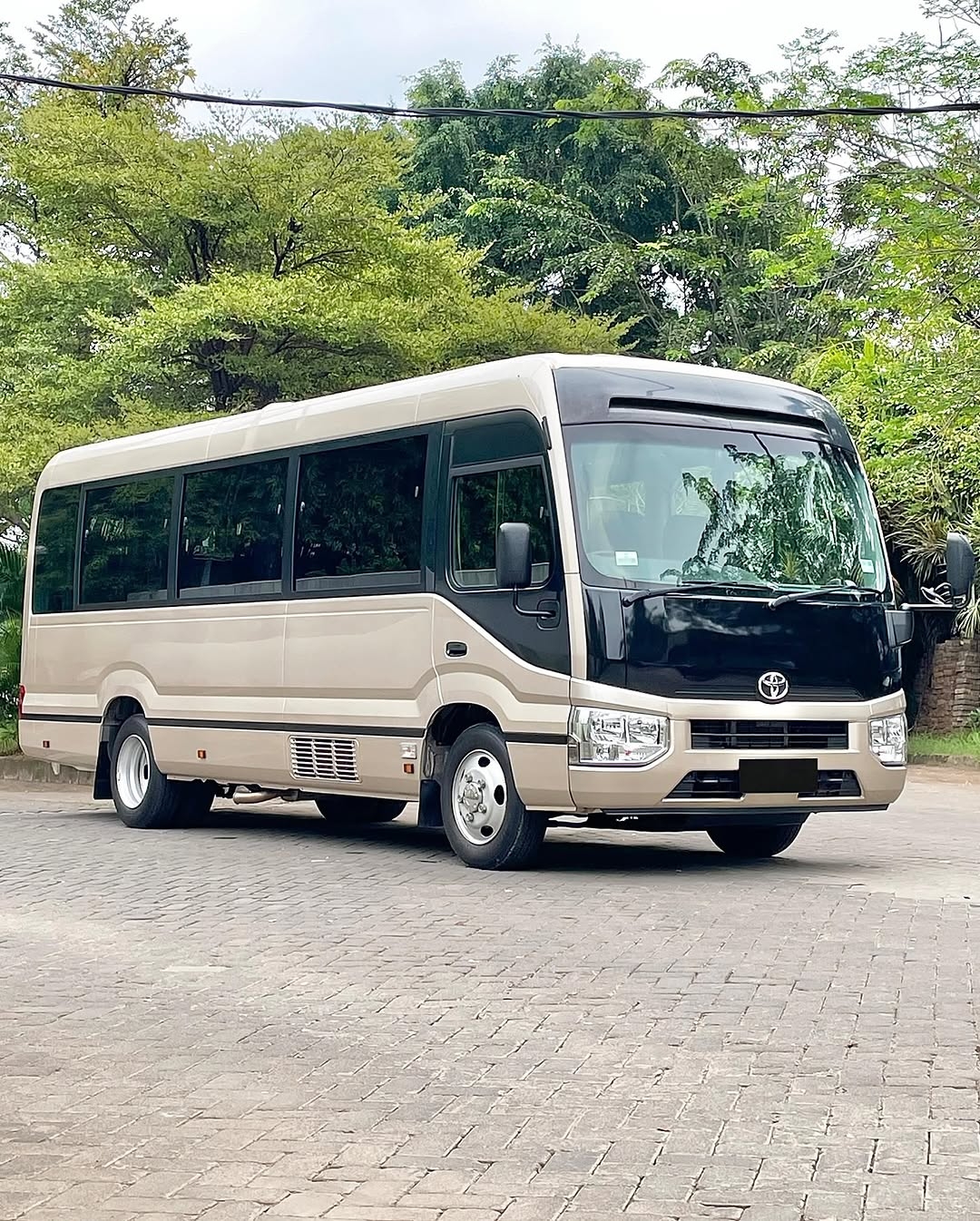 Coaster bus